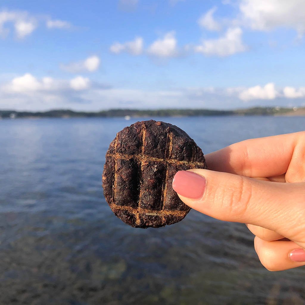 Svenskt Hundgodis Älgkex