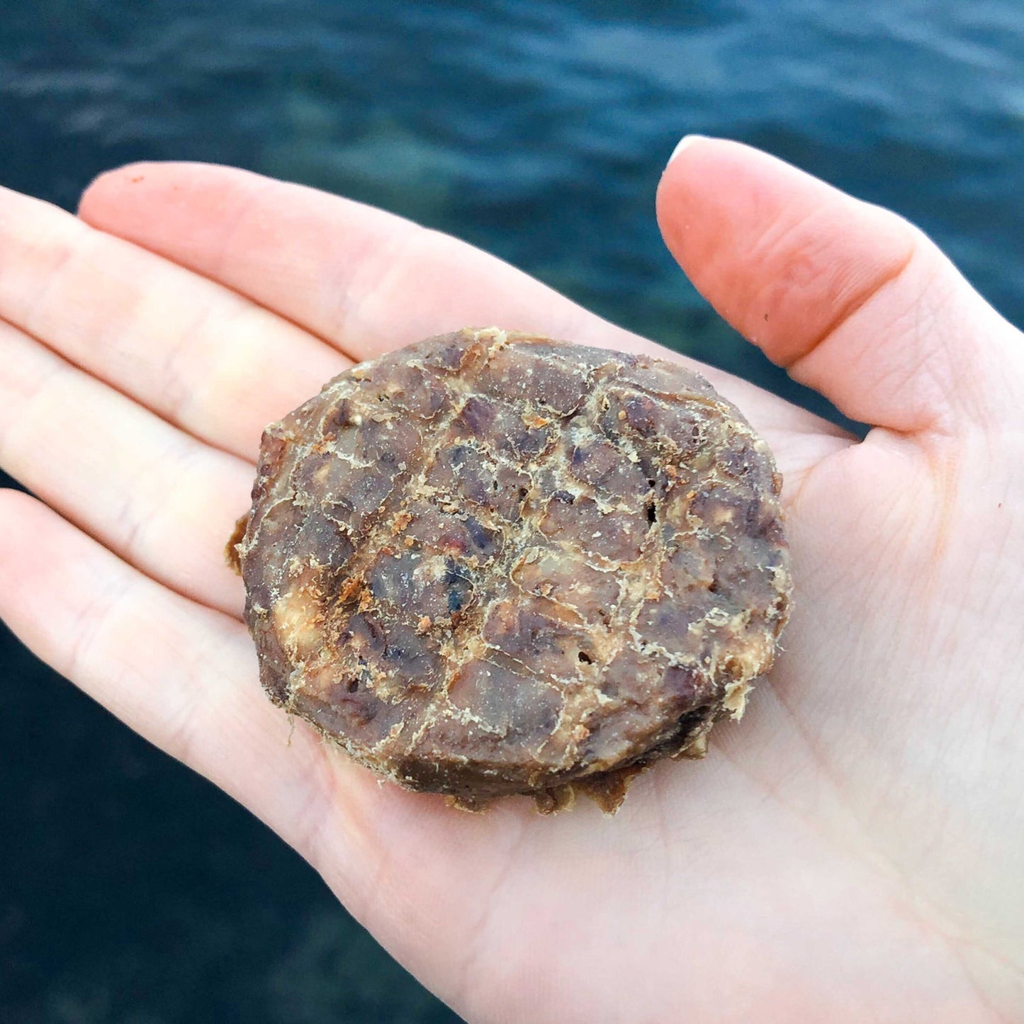 Svenskt Hundgodis Nötkex