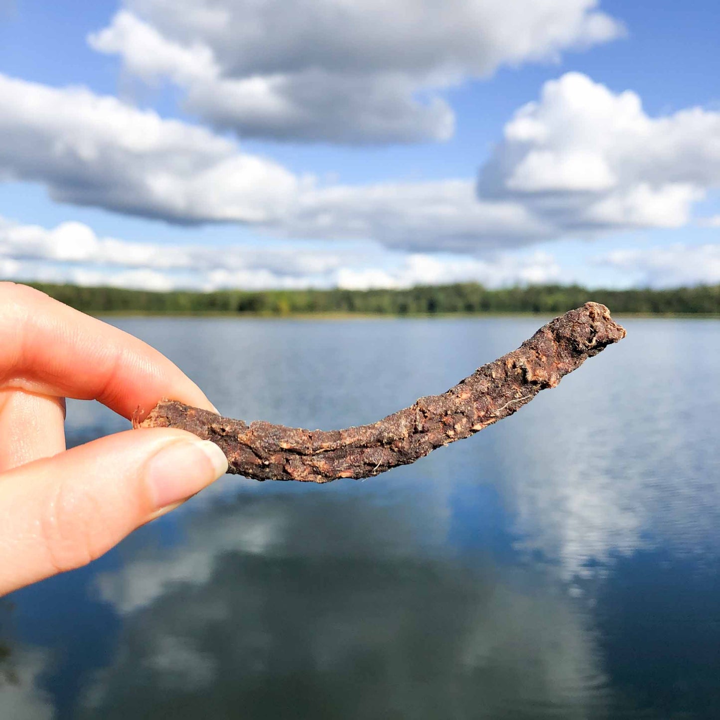 Svenskt Hundgodis Älgsticks