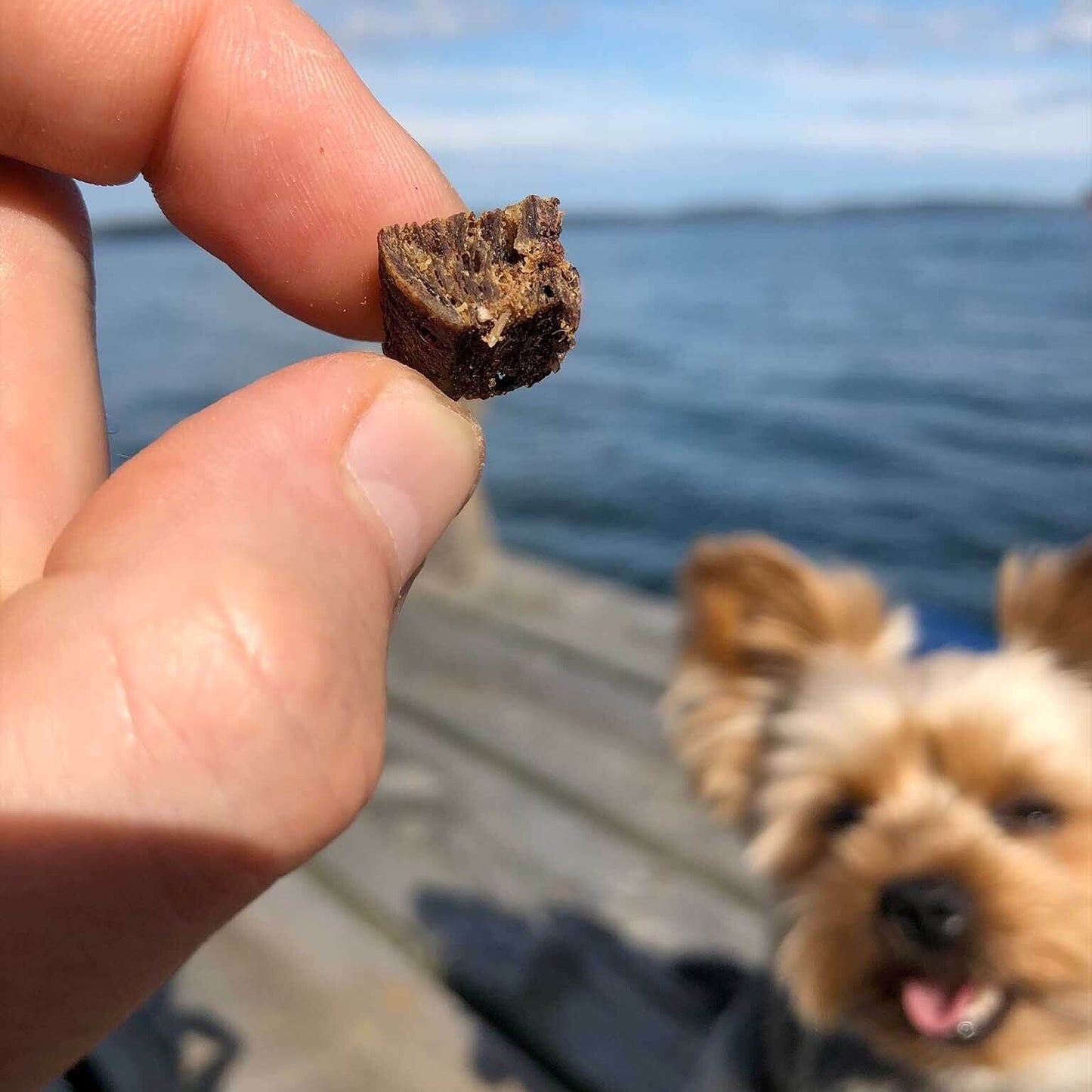 Svenskt Hundgodis - Promenad & Träning - Älgbitar