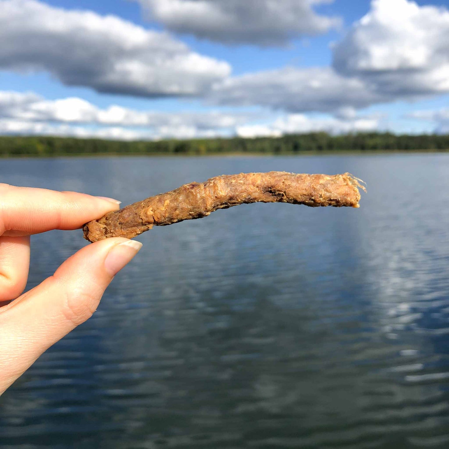 Svenskt Hundgodis Lammsticks