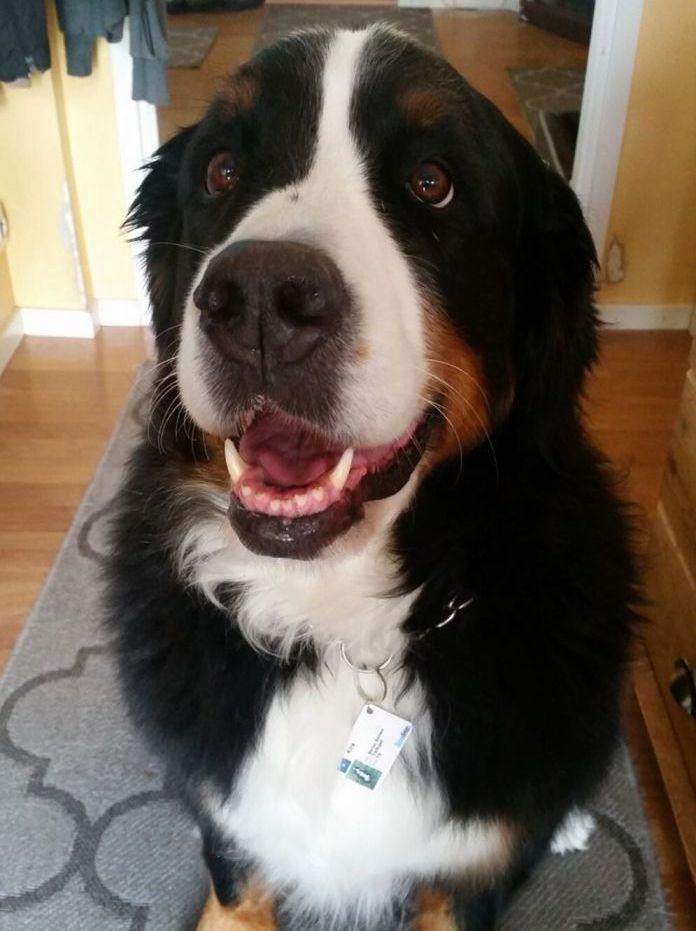 Personlig Namnbricka / ID-Bricka