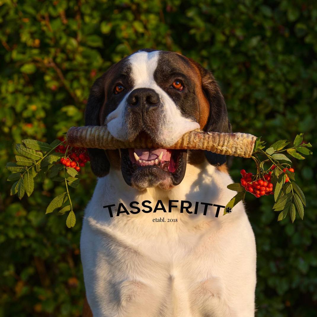 Svenskt Hundgodis Oxstrupe Hel 30-40 cm